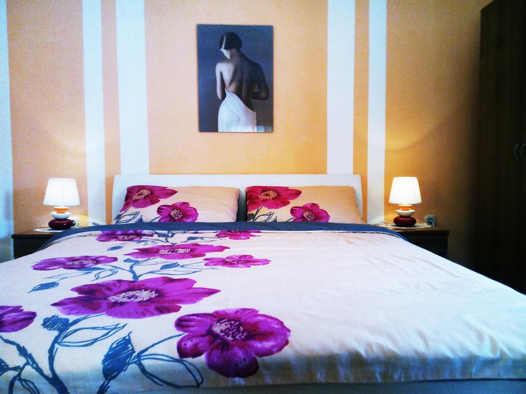 Apartments & Rooms Vitt Vis Room photo