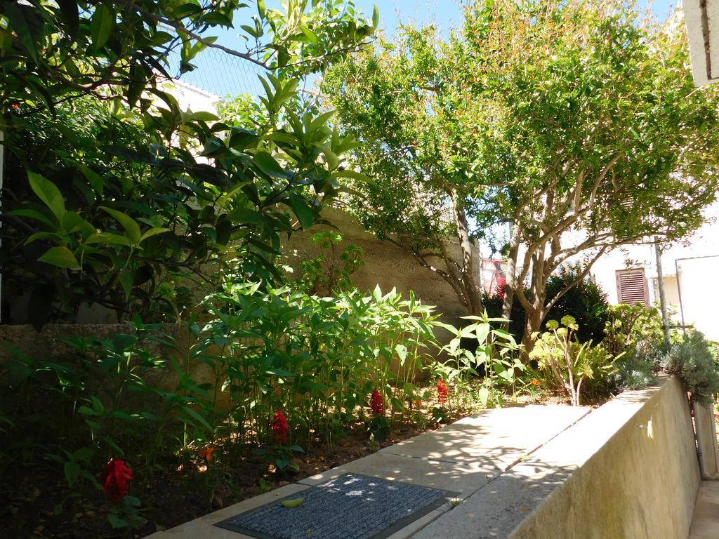 Apartments & Rooms Vitt Vis Exterior photo